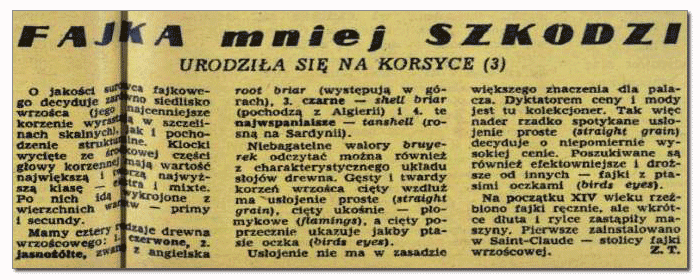 Zbigniew Turek - Przekrój